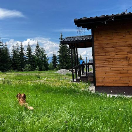 Коттедж Для Отдыха Дискавери Jablunyzja Exterior foto