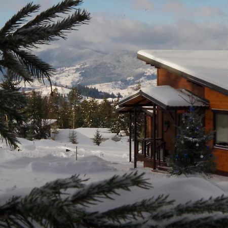 Коттедж Для Отдыха Дискавери Jablunyzja Exterior foto