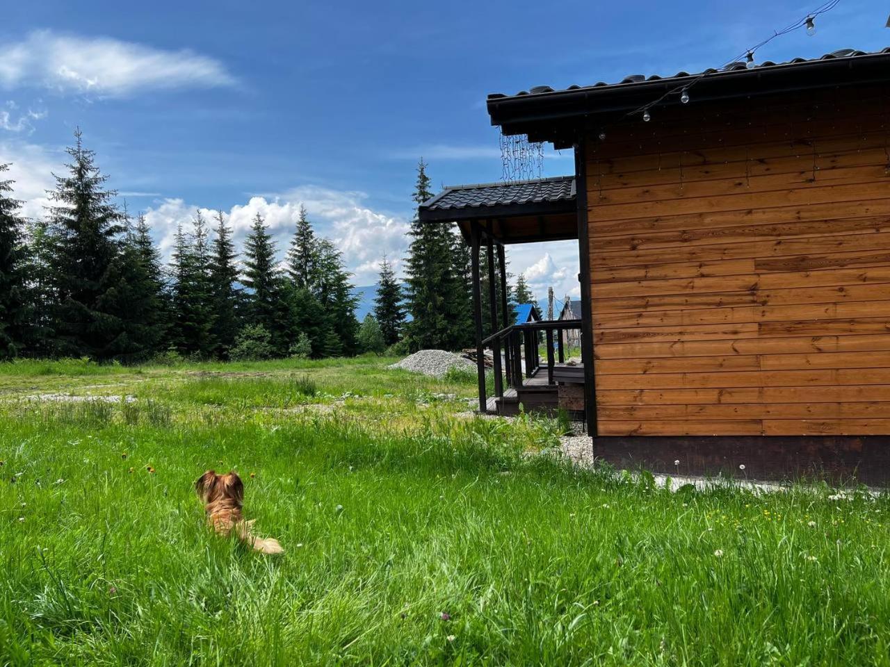 Коттедж Для Отдыха Дискавери Jablunyzja Exterior foto
