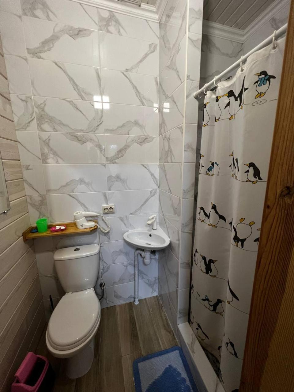 Коттедж Для Отдыха Дискавери Jablunyzja Exterior foto