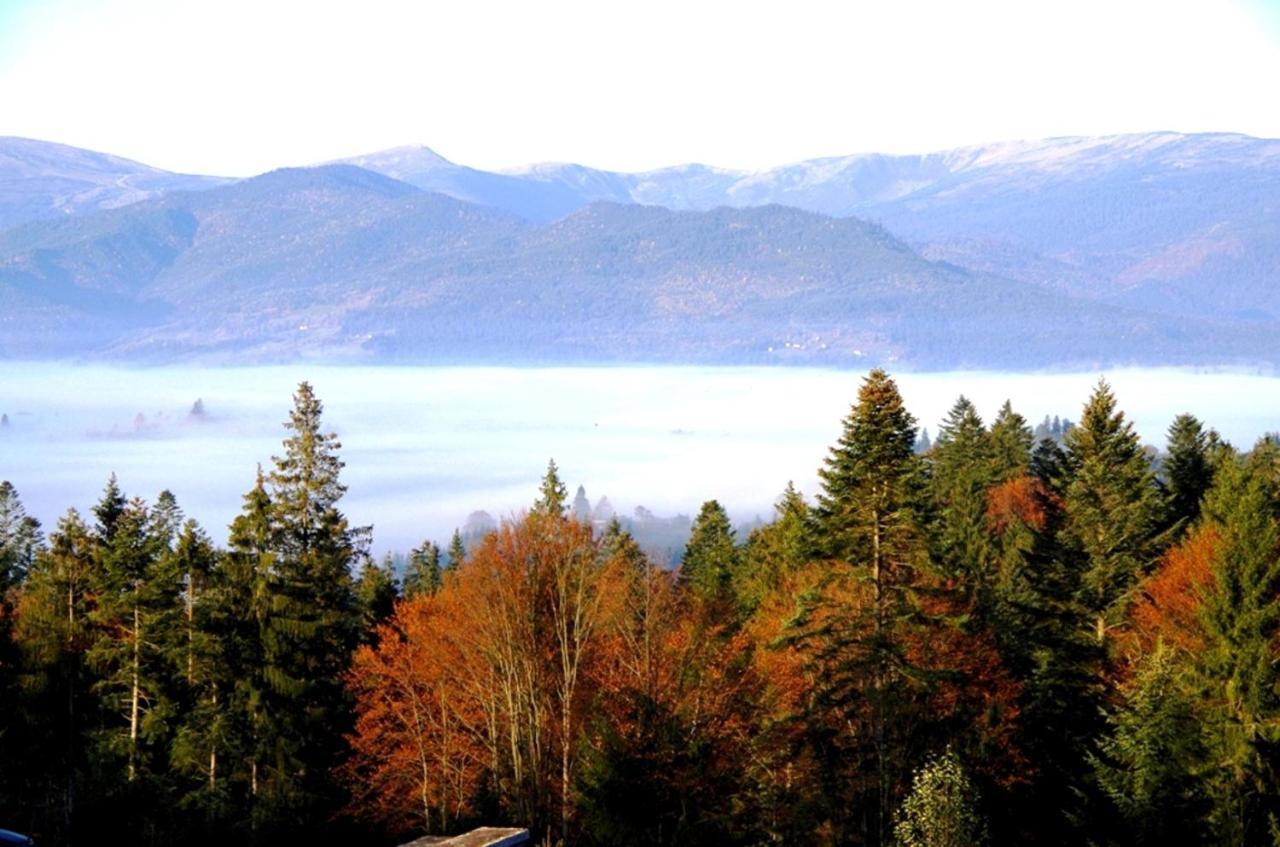 Коттедж Для Отдыха Дискавери Jablunyzja Exterior foto
