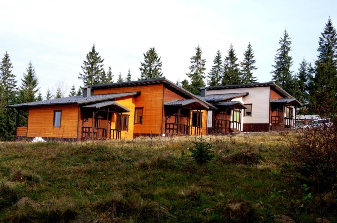 Коттедж Для Отдыха Дискавери Jablunyzja Exterior foto