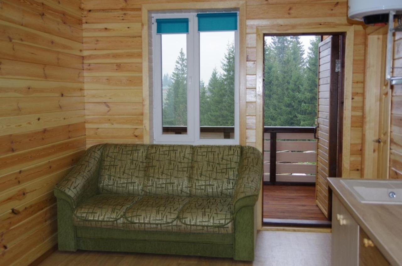 Коттедж Для Отдыха Дискавери Jablunyzja Exterior foto