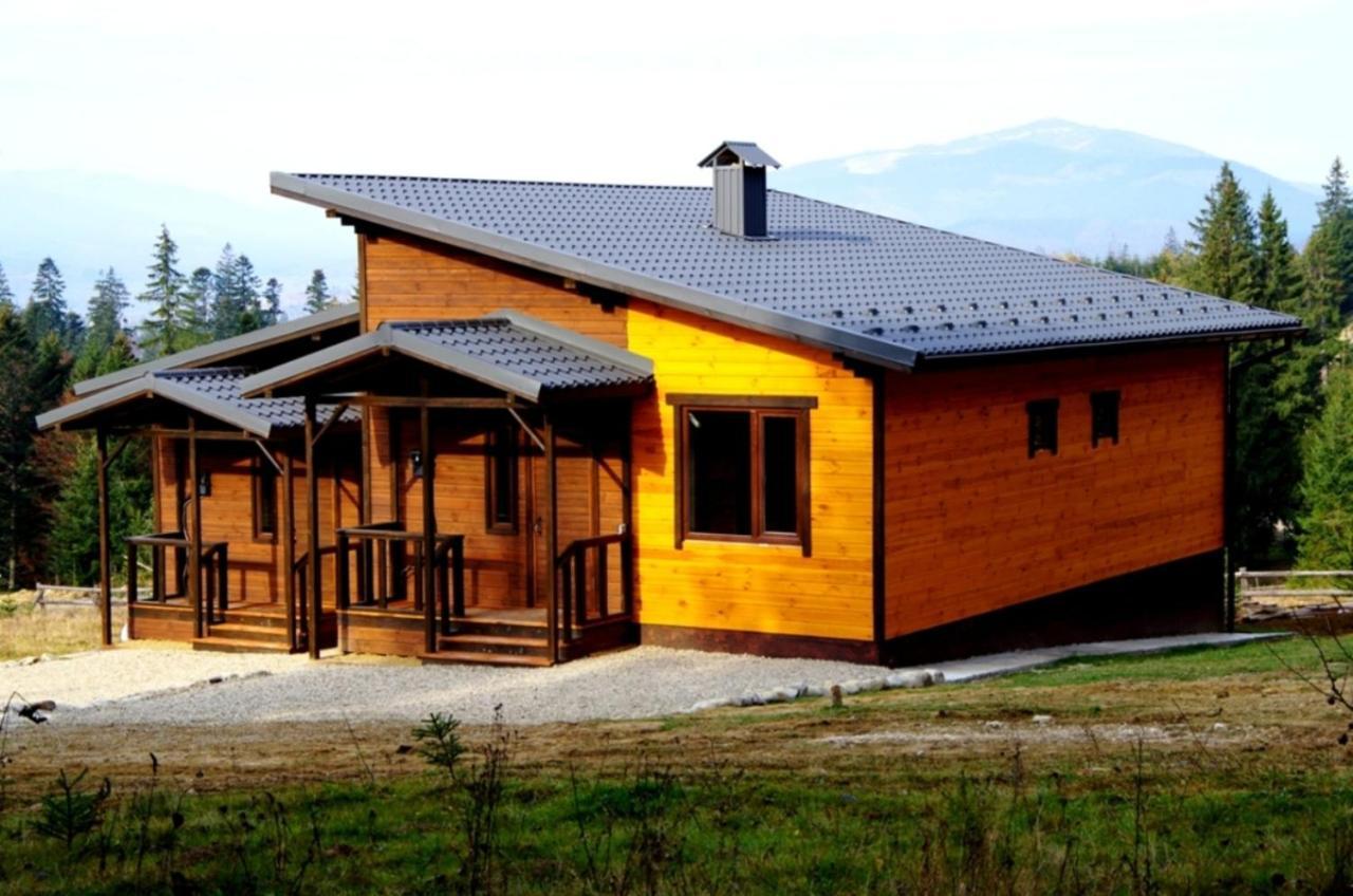 Коттедж Для Отдыха Дискавери Jablunyzja Exterior foto