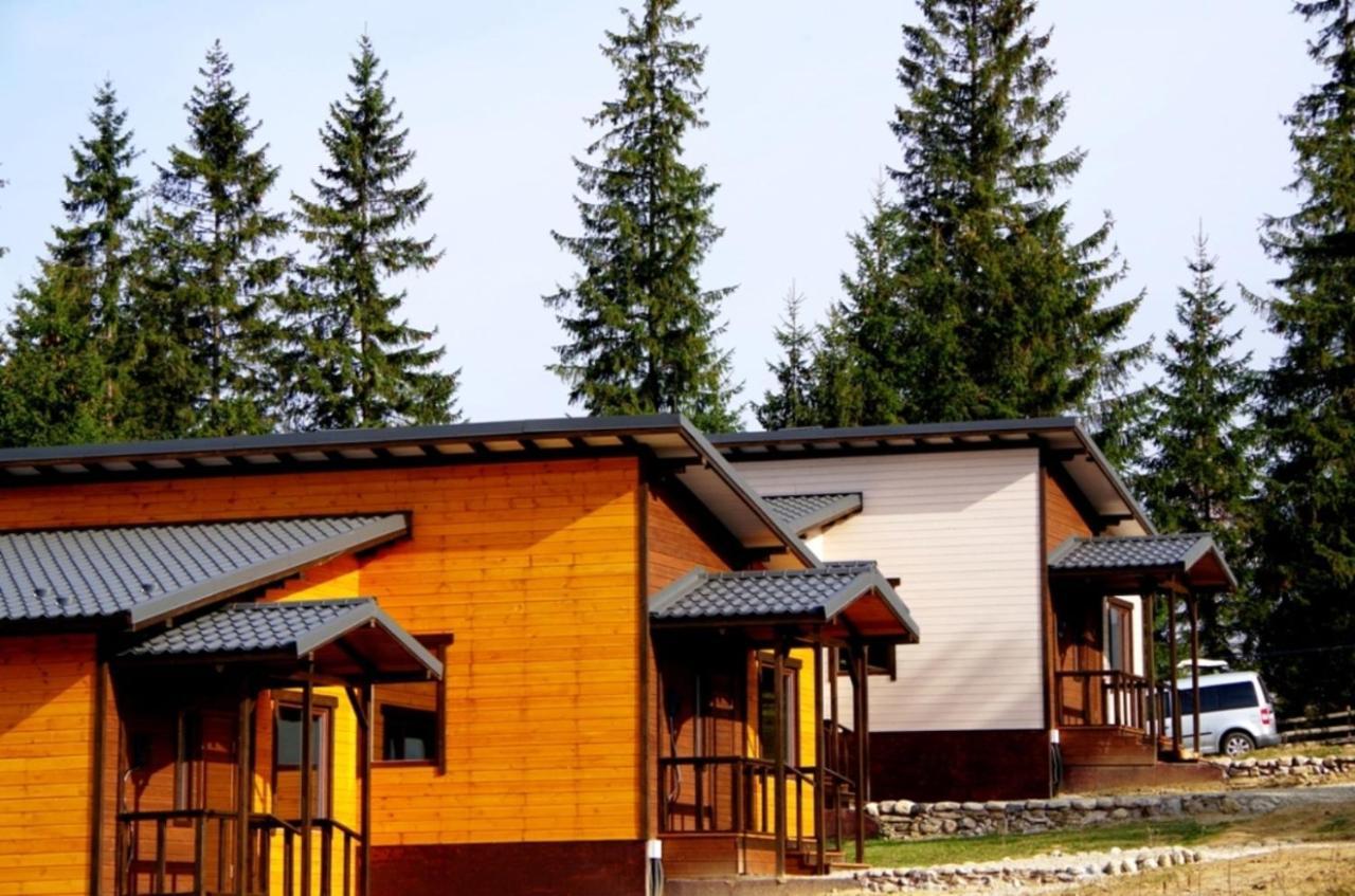 Коттедж Для Отдыха Дискавери Jablunyzja Exterior foto
