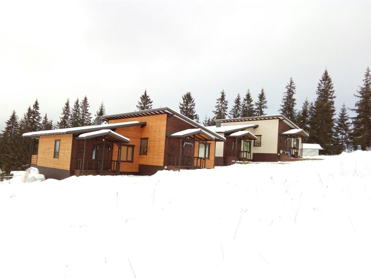 Коттедж Для Отдыха Дискавери Jablunyzja Exterior foto
